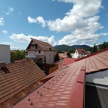 Old Town Studio 1 Apartment Nr 1 Baia Mare Dış mekan fotoğraf