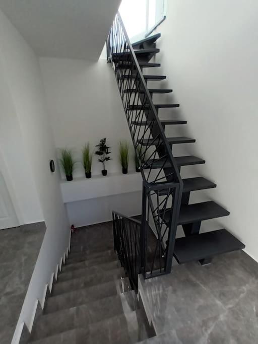 Old Town Studio 1 Apartment Nr 1 Baia Mare Dış mekan fotoğraf