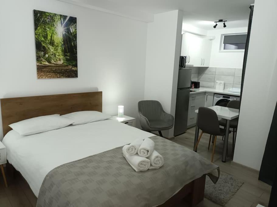 Old Town Studio 1 Apartment Nr 1 Baia Mare Dış mekan fotoğraf