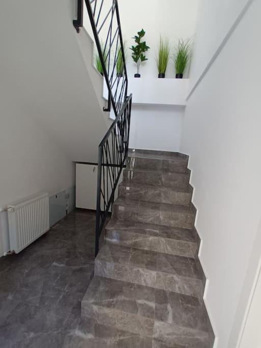 Old Town Studio 1 Apartment Nr 1 Baia Mare Dış mekan fotoğraf