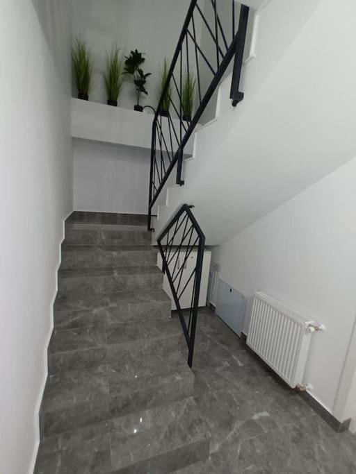 Old Town Studio 1 Apartment Nr 1 Baia Mare Dış mekan fotoğraf