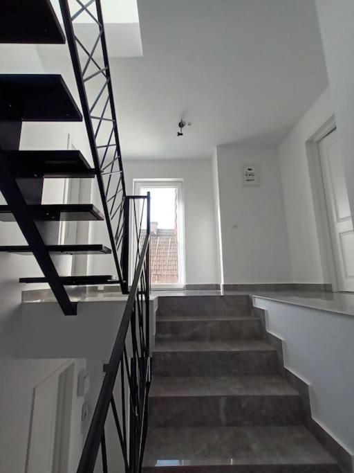 Old Town Studio 1 Apartment Nr 1 Baia Mare Dış mekan fotoğraf