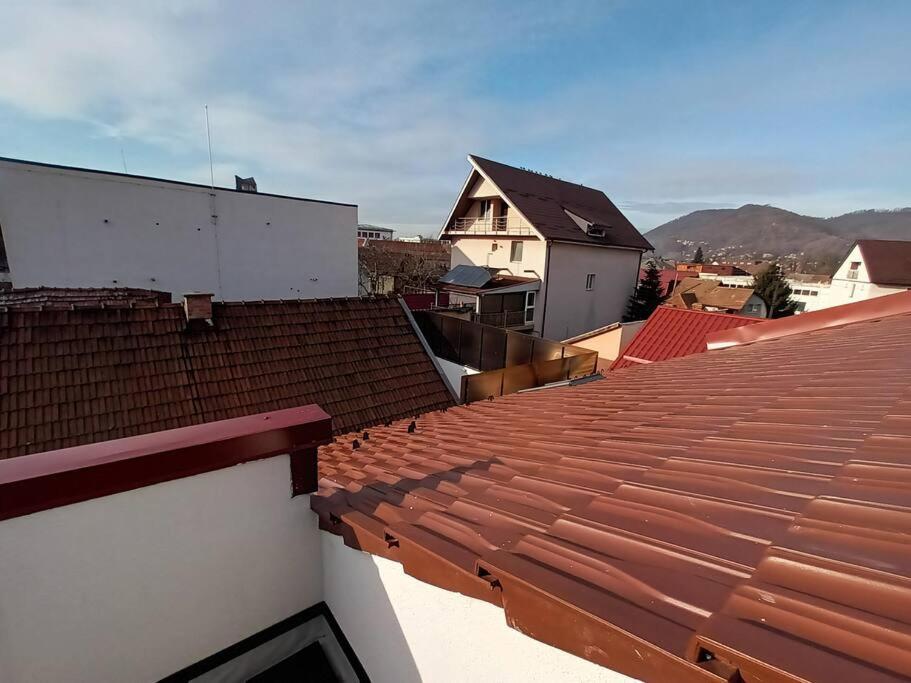 Old Town Studio 1 Apartment Nr 1 Baia Mare Dış mekan fotoğraf