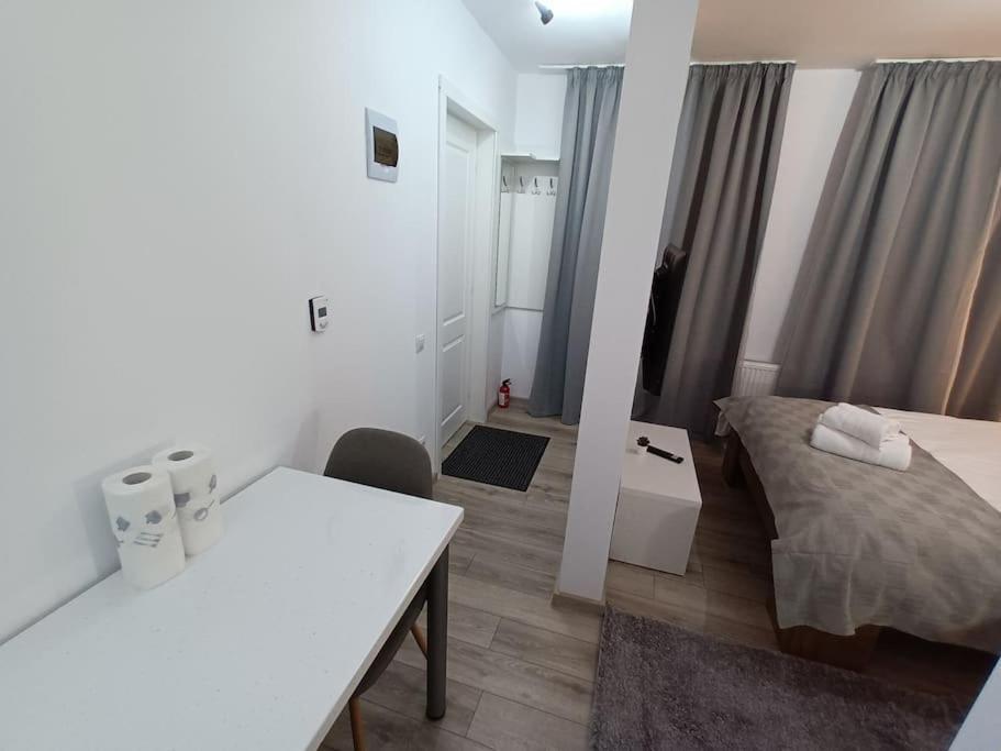 Old Town Studio 1 Apartment Nr 1 Baia Mare Dış mekan fotoğraf