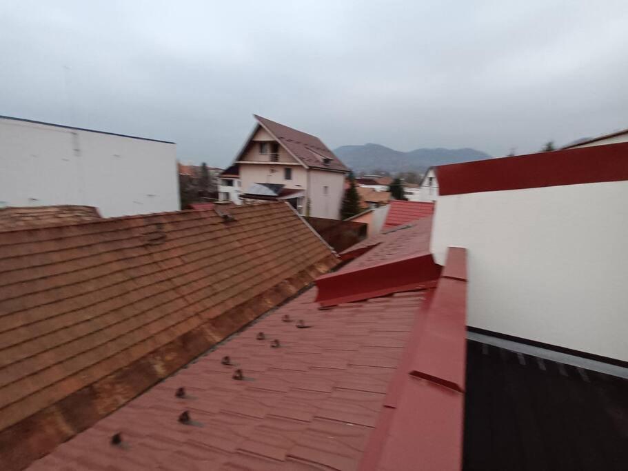 Old Town Studio 1 Apartment Nr 1 Baia Mare Dış mekan fotoğraf