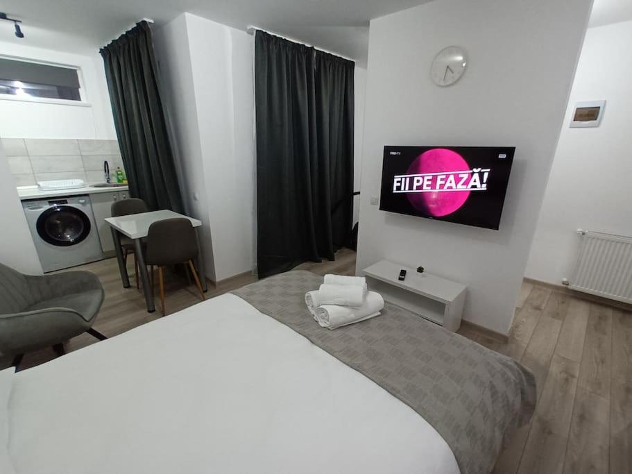 Old Town Studio 1 Apartment Nr 1 Baia Mare Dış mekan fotoğraf