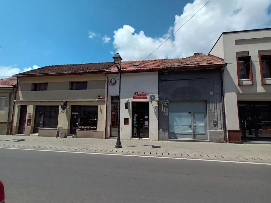 Old Town Studio 1 Apartment Nr 1 Baia Mare Dış mekan fotoğraf