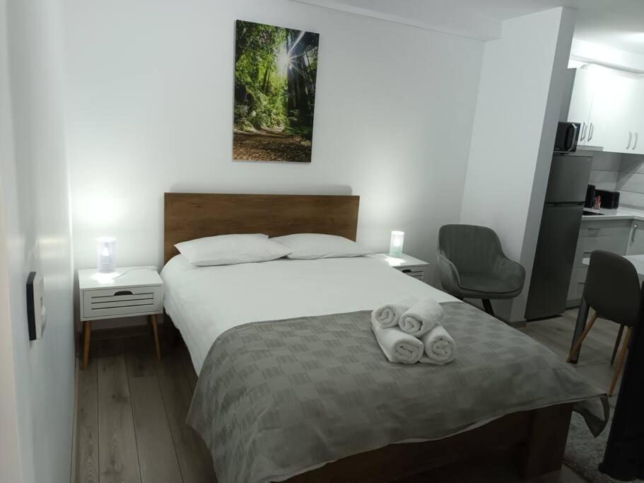Old Town Studio 1 Apartment Nr 1 Baia Mare Dış mekan fotoğraf