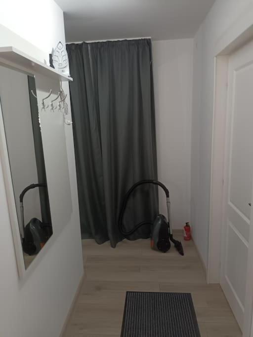 Old Town Studio 1 Apartment Nr 1 Baia Mare Dış mekan fotoğraf