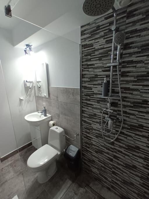 Old Town Studio 1 Apartment Nr 1 Baia Mare Dış mekan fotoğraf