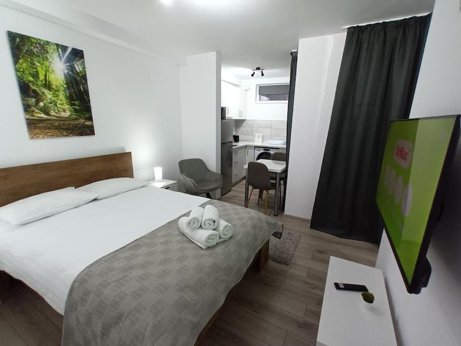 Old Town Studio 1 Apartment Nr 1 Baia Mare Dış mekan fotoğraf