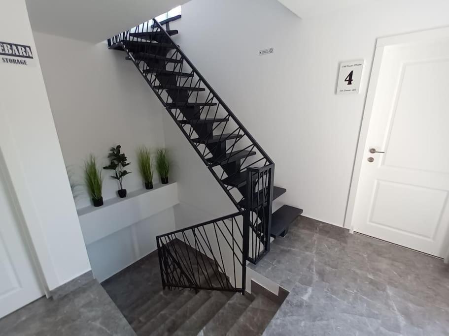 Old Town Studio 1 Apartment Nr 1 Baia Mare Dış mekan fotoğraf